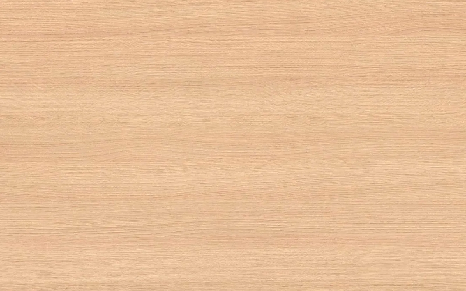 Madera de Encino